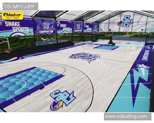 南京篮球队区域防守革新之路探索与实践分析