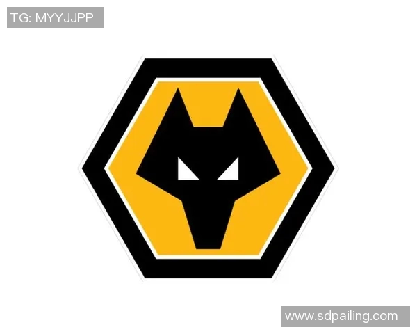 英超男生足球明星头像大集合展现球场魅力与青春风采